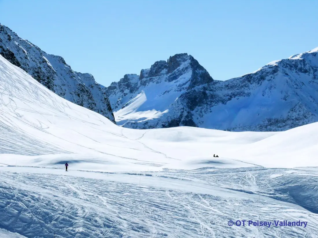 Chalet Perle des Alpes