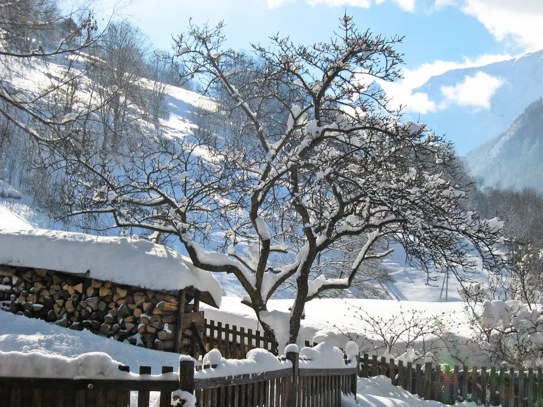 Maison de Vacances Peisey-Nancroix