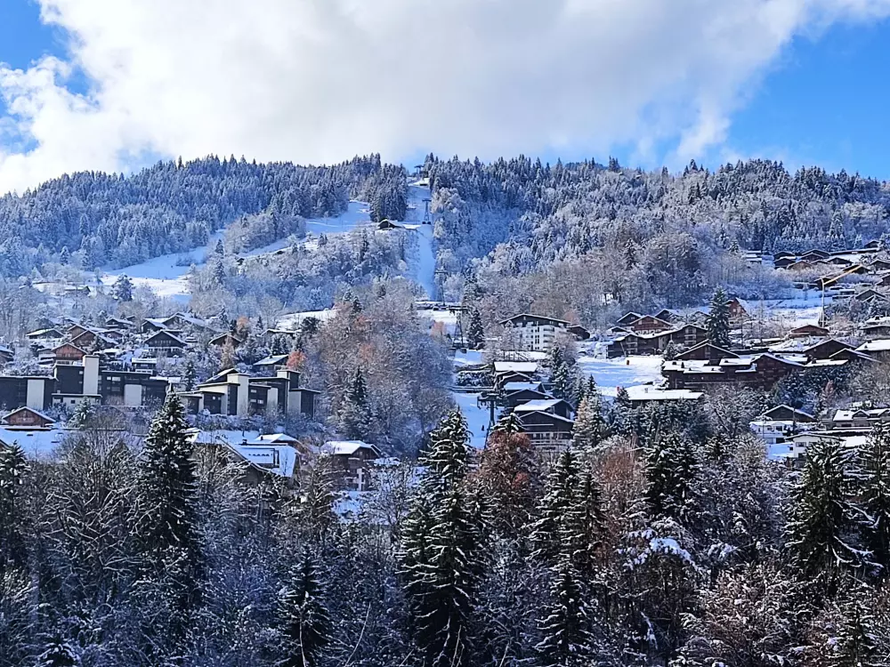 Résidence Les Tétras