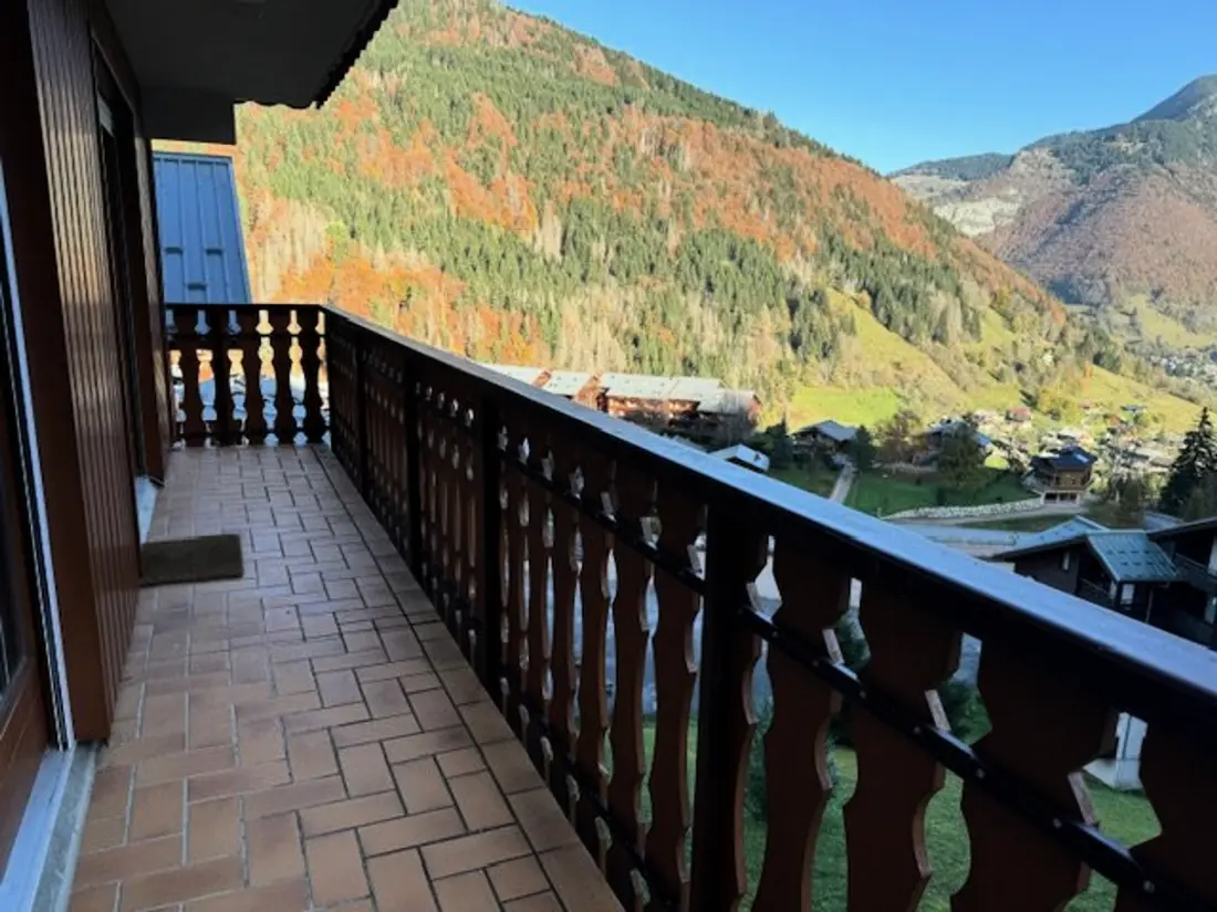Location de Vacances Saint-Jean-d'Aulps 45