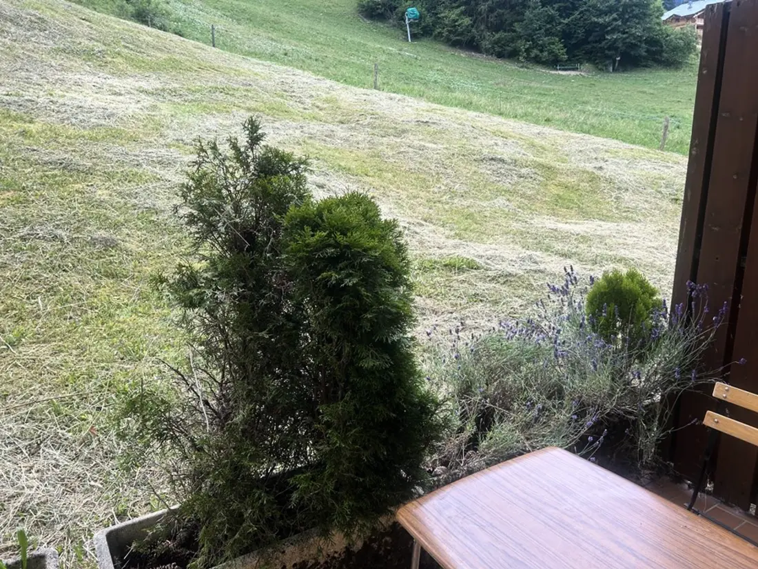 Location de Vacances Saint-Jean-d'Aulps 9