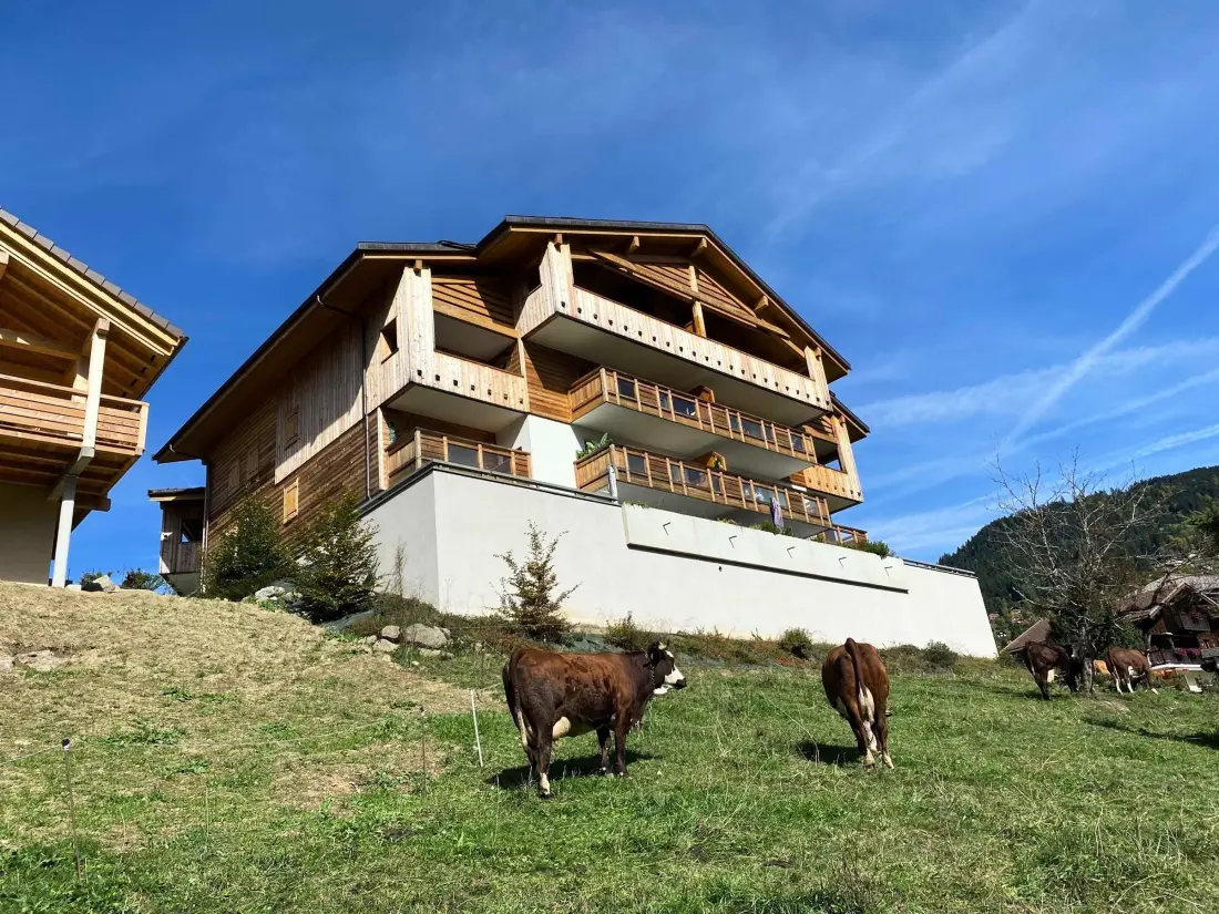 Location de Vacances Saint-Jean-de-Sixt 14