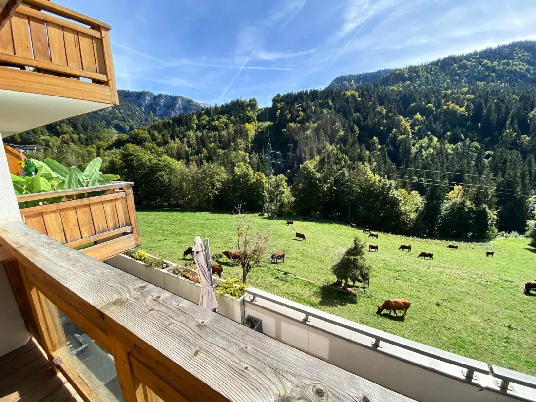 Location de Vacances Saint-Jean-de-Sixt 14