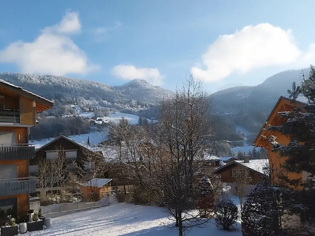 Location de Vacances Saint-Jean-de-Sixt 35
