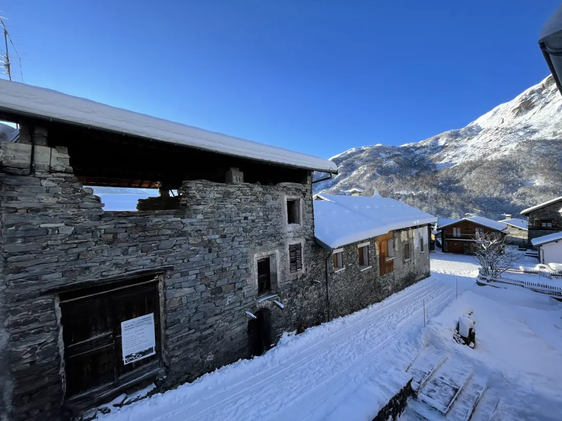 Chalet Aster