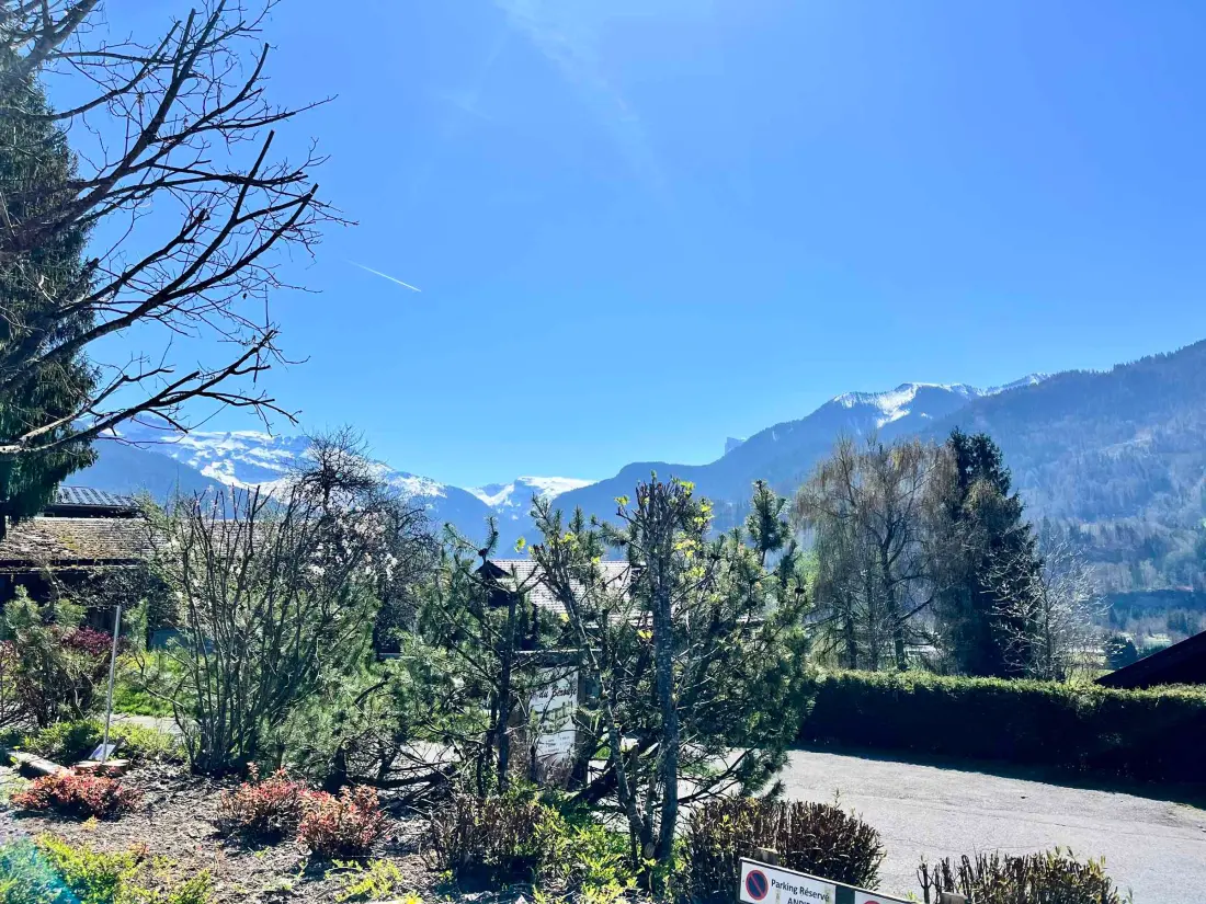 Location de Vacances Samoëns 116