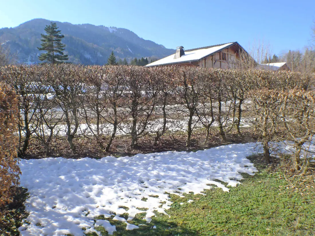 Location de Vacances Samoëns 171