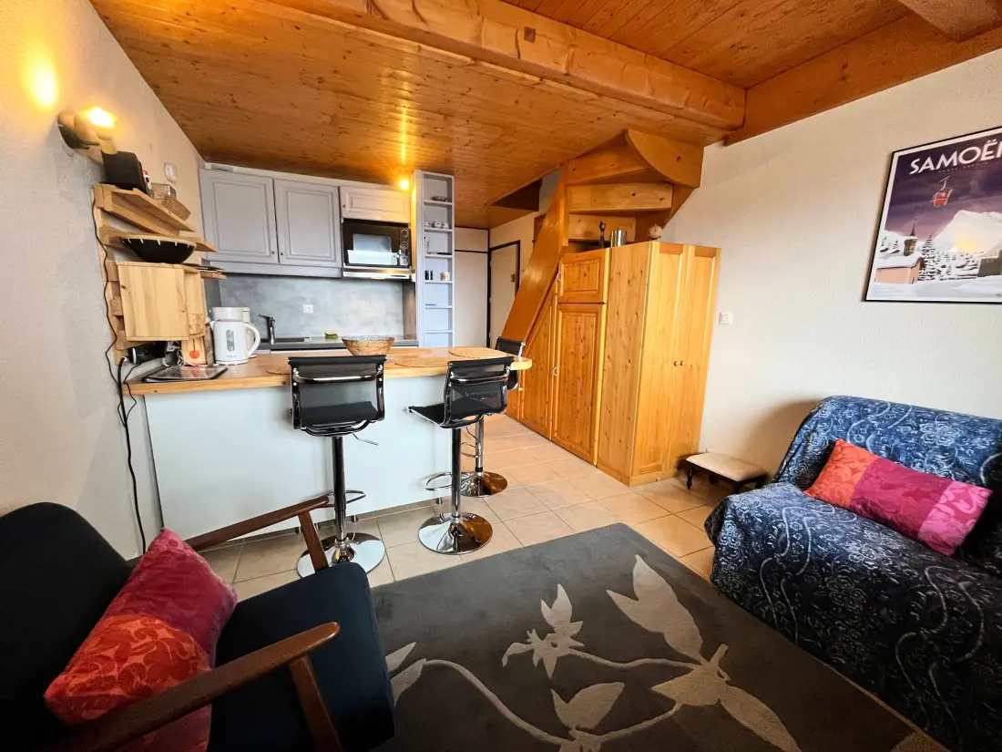 Location de Vacances Samoëns 173