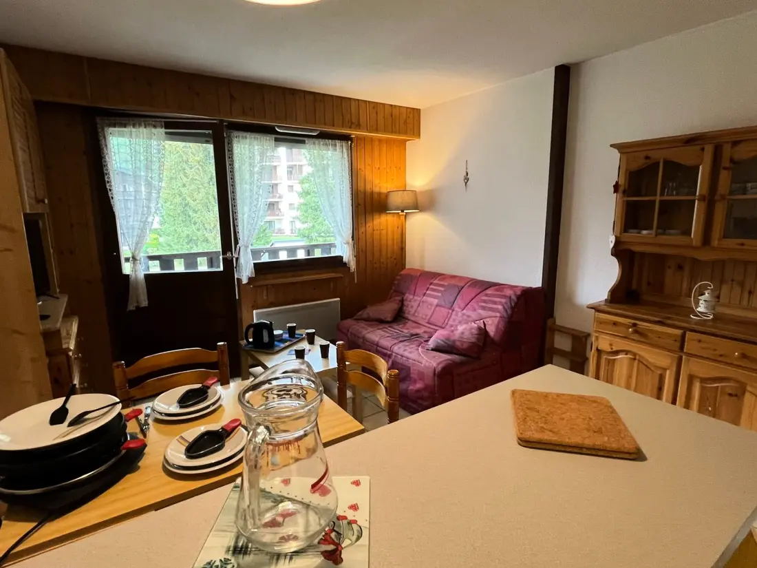 Location de Vacances Samoëns 224
