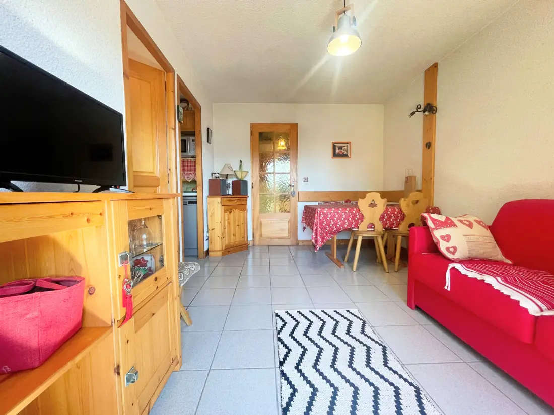 Location de Vacances Samoëns 229