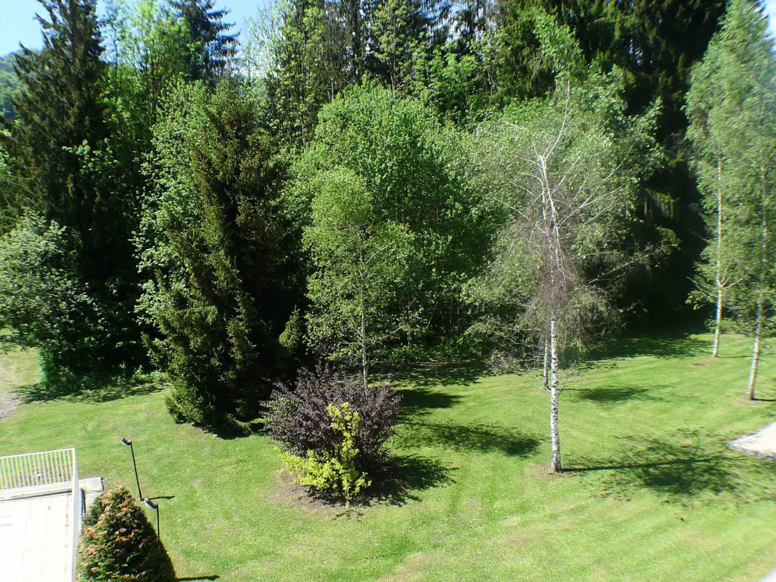 Location de Vacances Samoëns 245