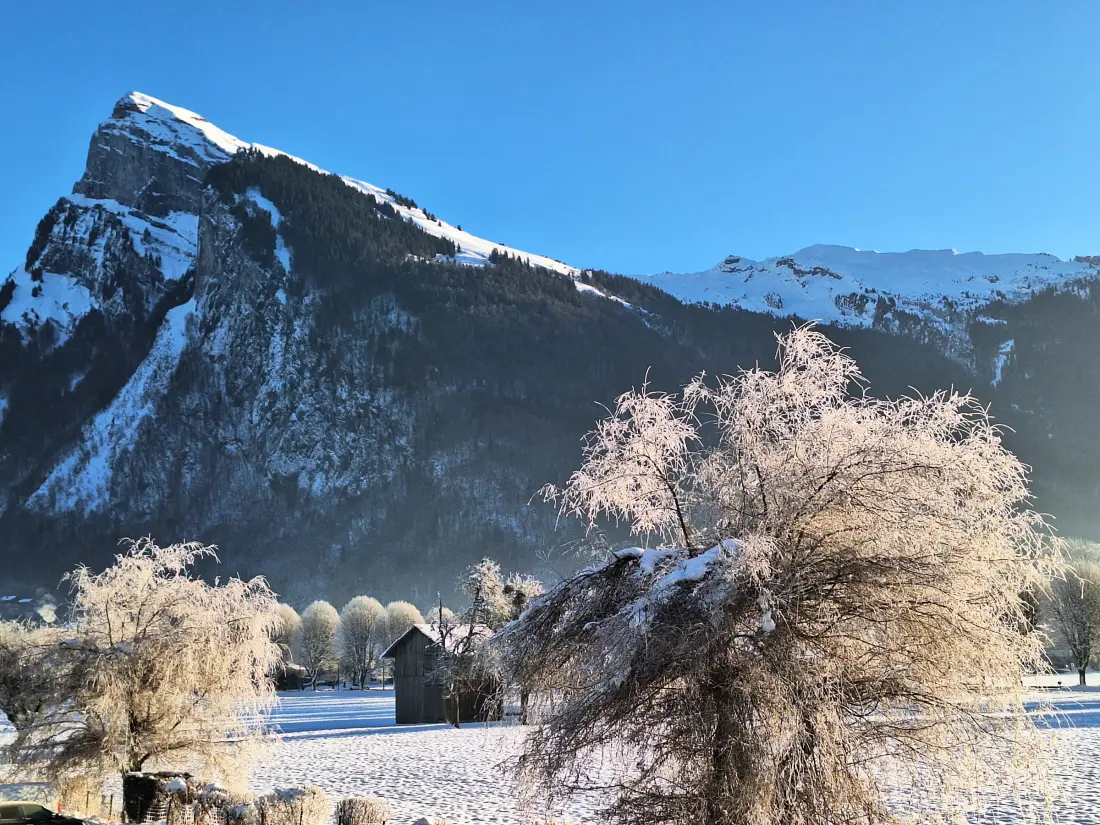 Location de Vacances Samoëns 326