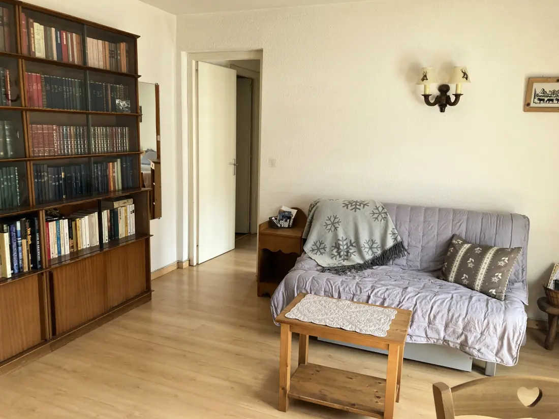 Location de Vacances Samoëns 333