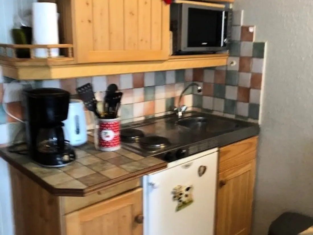 Location de Vacances Samoëns 348