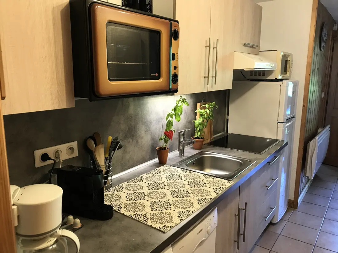 Location de Vacances Samoëns 350