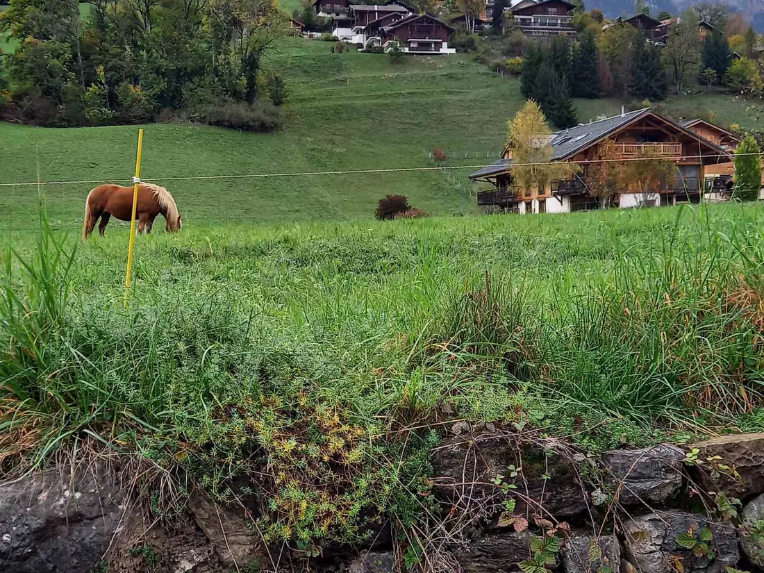 Location de Vacances Samoëns 76
