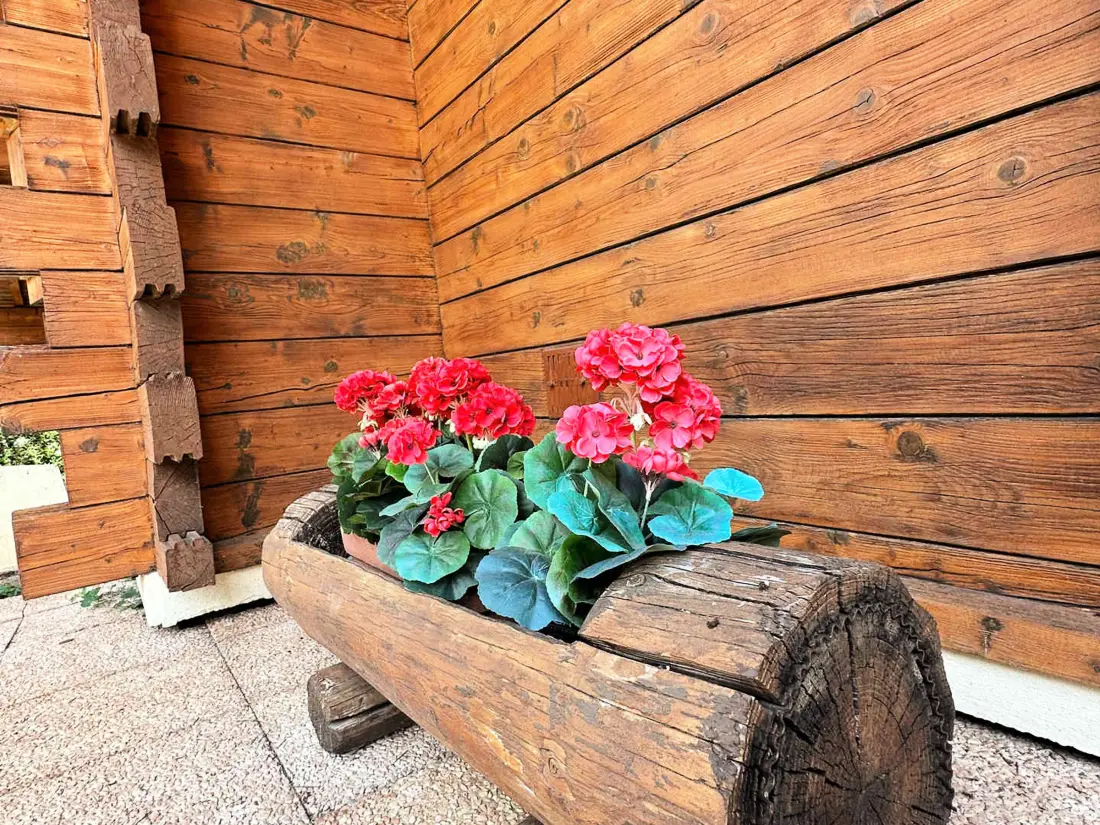 Maison de Vacances Samoëns 110