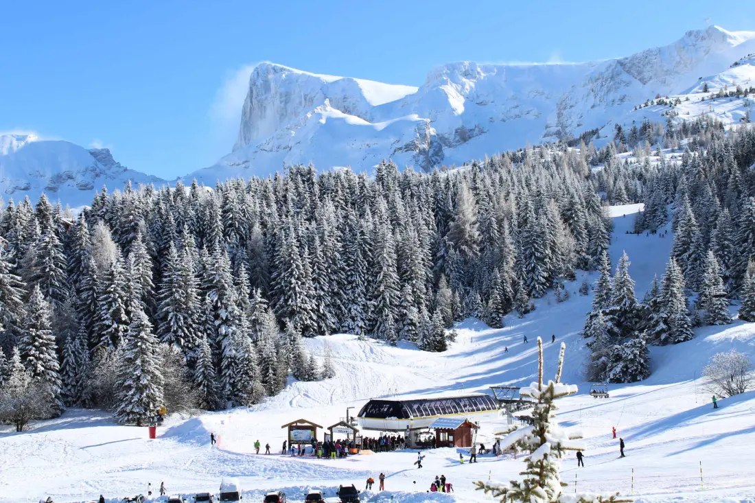Les Chalets De Superd Dauphinelle
