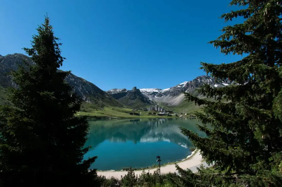 Chalet Chardonnet