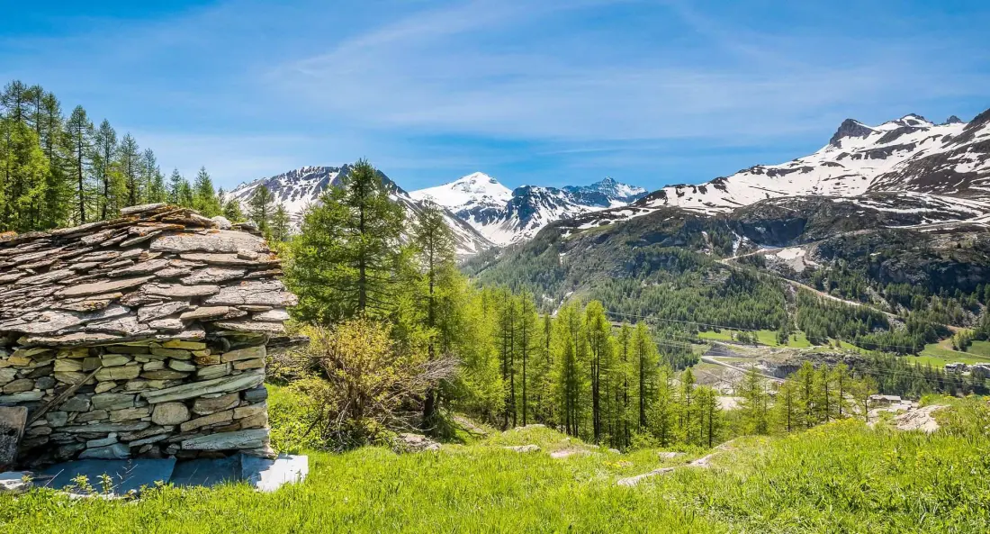 Chalet Whistler