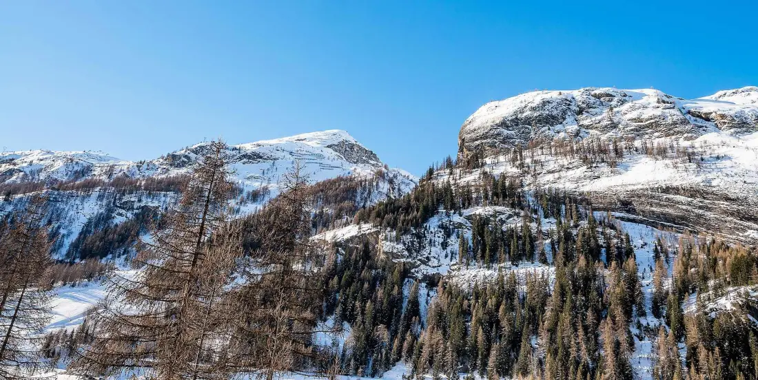 Chalet Paradis Blanc