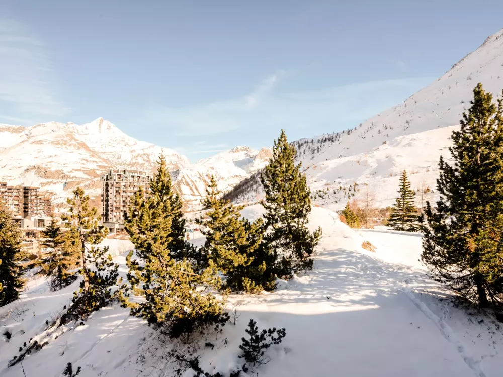 Résidence Les Roches Rouges (Lavachet)