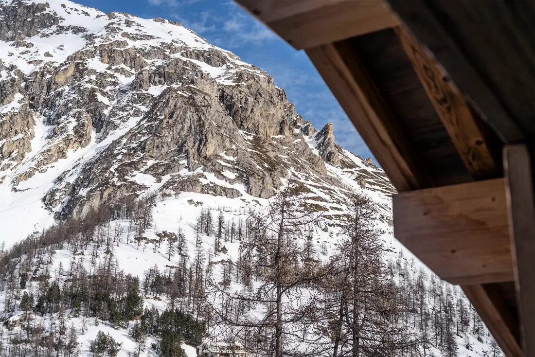 Chalet Arda