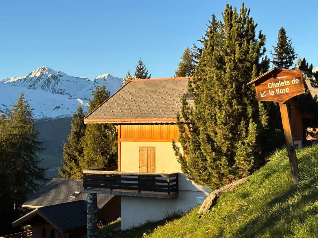 Chalet Forsythia
