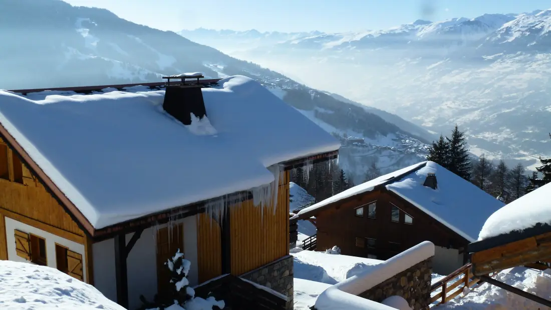 Chalet Forsythia