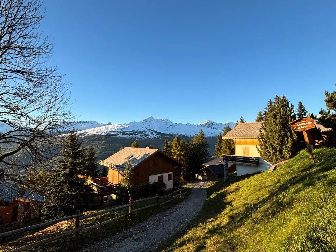 Chalet Forsythia