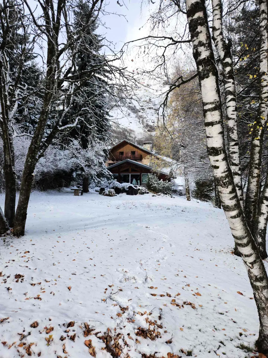 Chalet L'argentiere