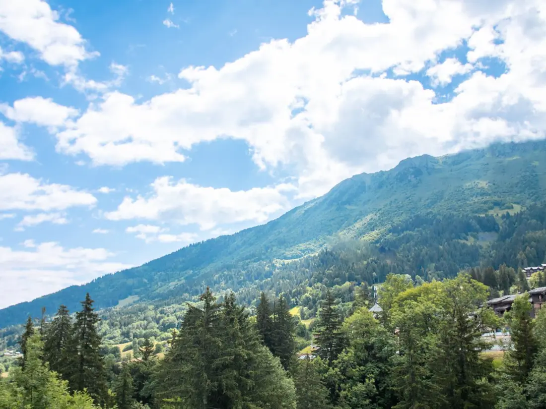 Location de Vacances VALMOREL 10