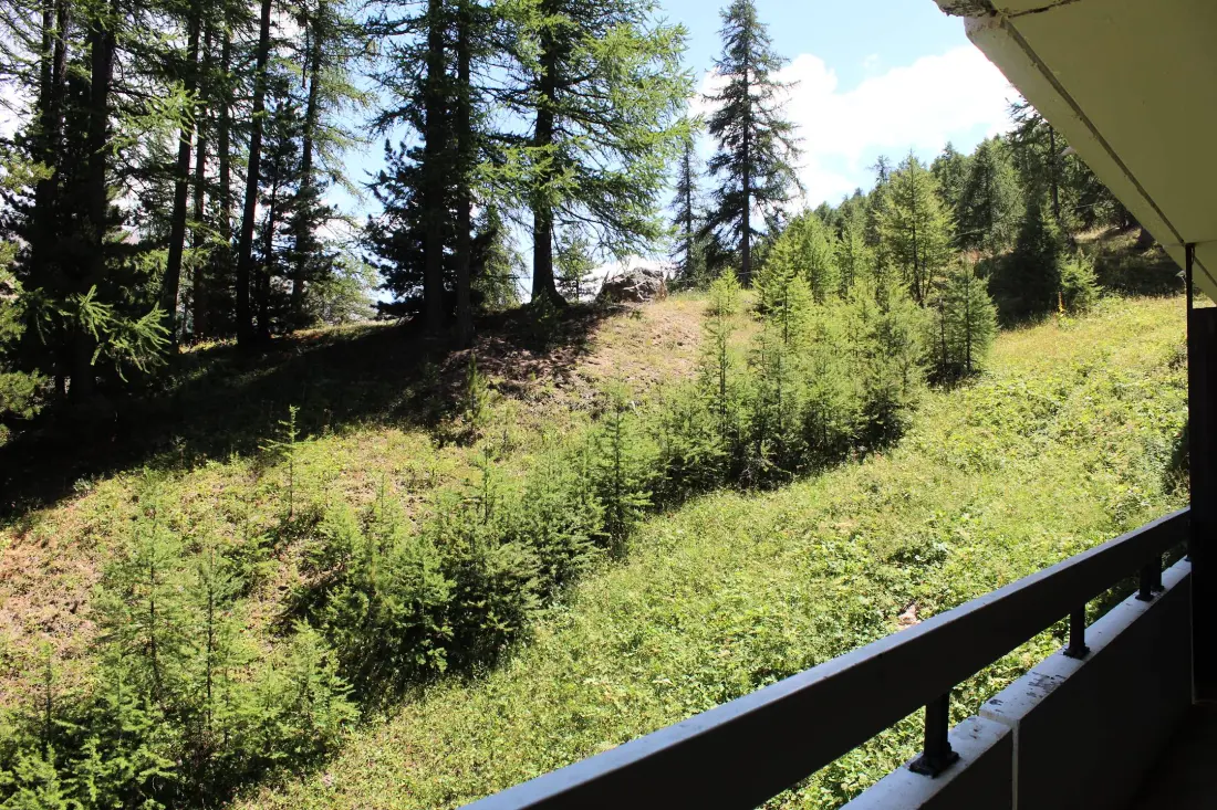 Résidence Forest