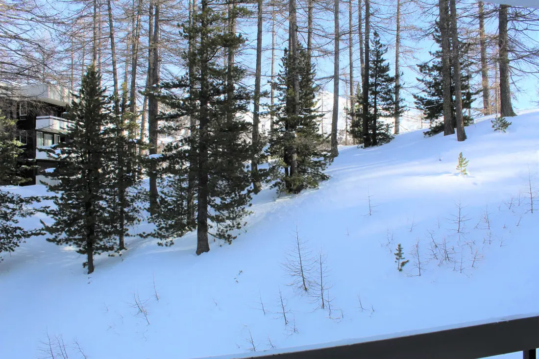 Résidence Forest