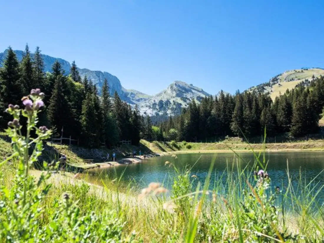 Location de Vacances Villard-de-Lans 158