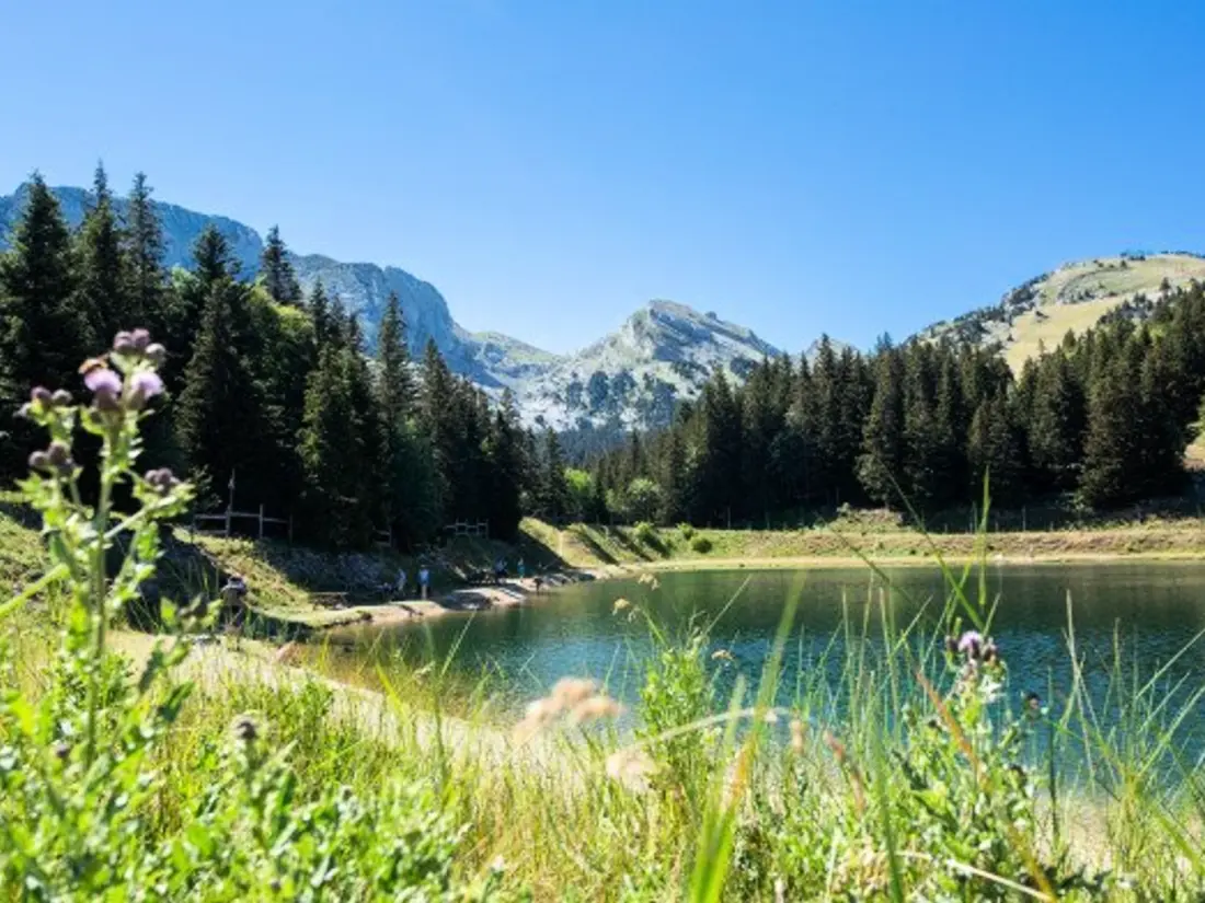 Location de Vacances Villard-de-Lans 161