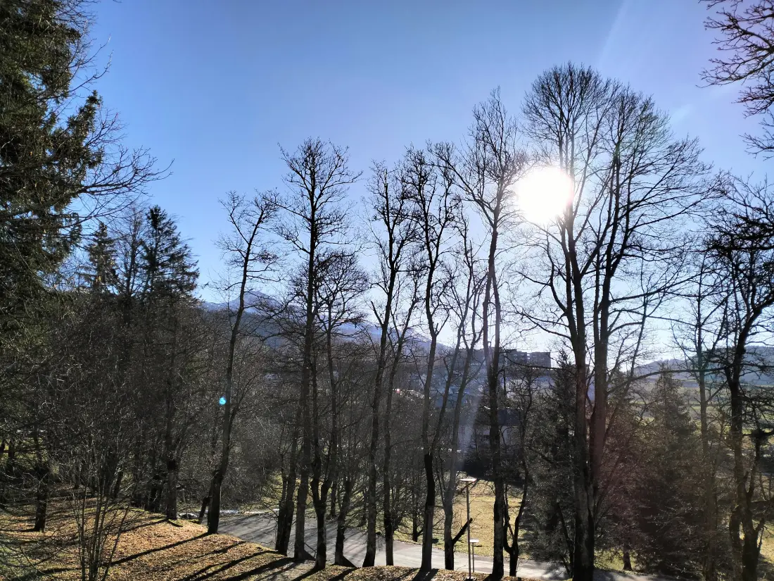 Location de Vacances Villard-de-Lans 211